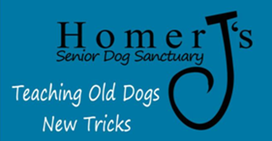 Homer J's Senior Dog Sanctuary